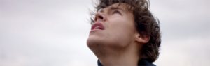 harry styles