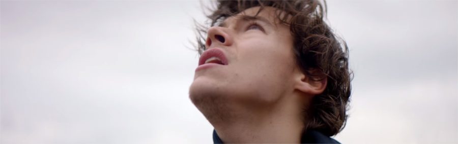 harry styles