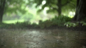 Regn dråber gifanimation